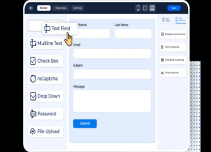 Bit Form Pro v3.3.0 - Ultimate Form Builder In WordPress