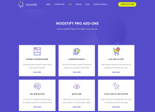 Woostify Pro Addon v1.9.1 - Plugin