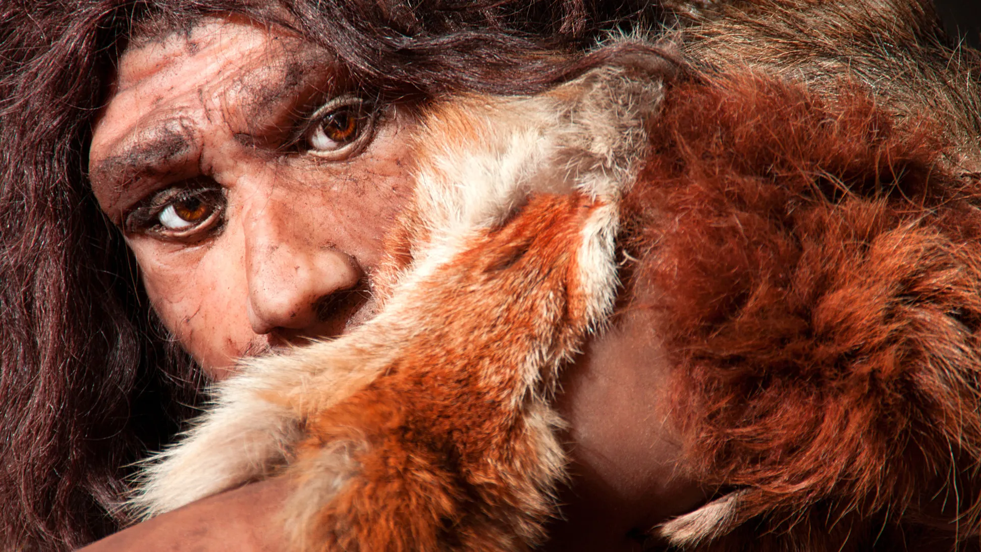 Neanderthals – not modern humans – were responsible for the world’s oldest cave art, according to researchers