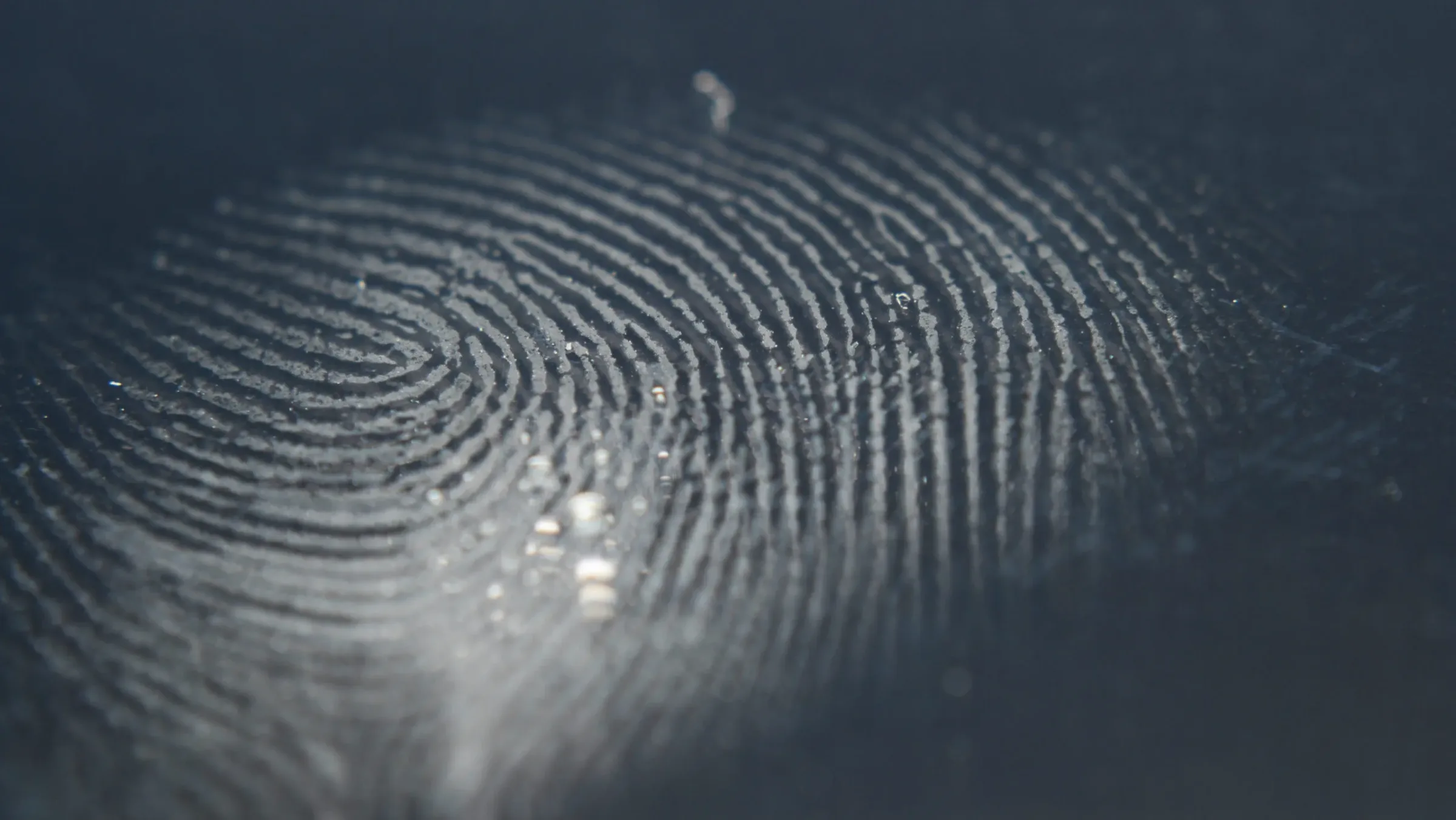 Welsh police used fingerprints from a WhatsApp photo to nab a drug dealer