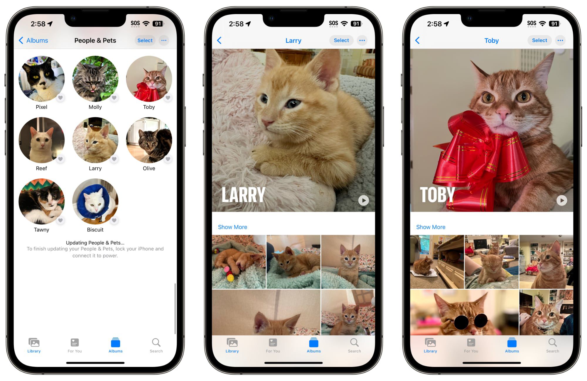 iOS 17: How to Name Your Pets in Photos With Pet Recognition